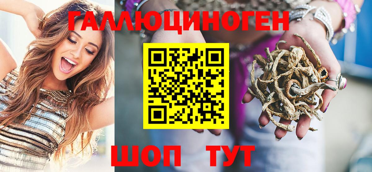 Зерноград  Галлюциногенные грибы прущие грибы  Вход с VPN  Псилоцибиновые грибы MAGIC MUSHROOMS 