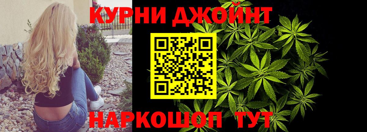 Конопля марихуана Зерноград